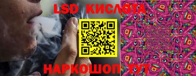 стаф Магадан