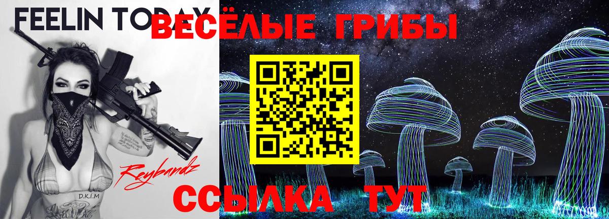 Псилоцибиновые грибы Magic Shrooms  Вход с VPN  цена   Городец 