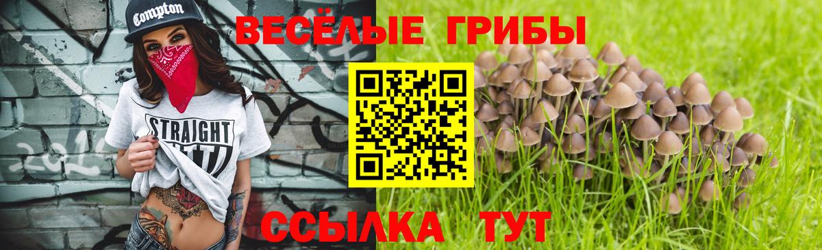 Псилоцибиновые грибы MAGIC MUSHROOMS Городец